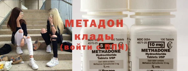 сатива Богданович