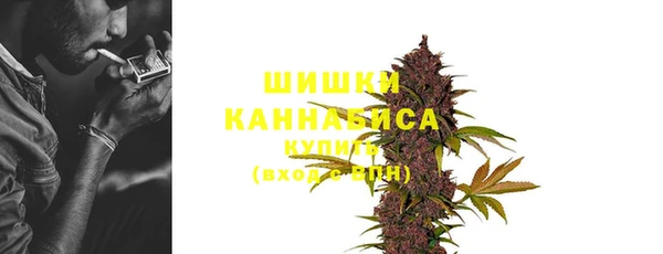 гашик Богородицк