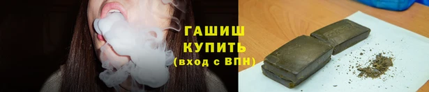 сатива Богданович