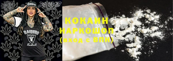 сатива Богданович