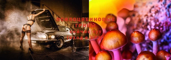 ALPHA PVP Богородск