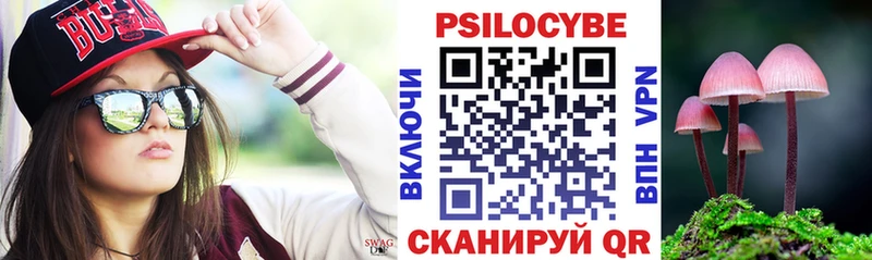 Купить закладки  Мамадыш  Псилоцибиновые грибы MAGIC MUSHROOMS 
